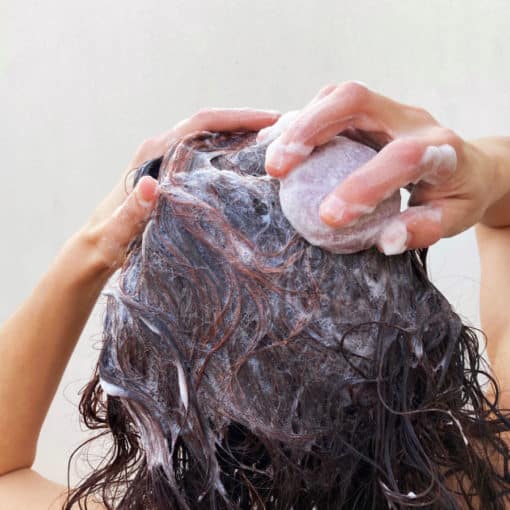 Dehesia Champú Sólido BIO Cabello Normal-Seco con Lavanda y Karité