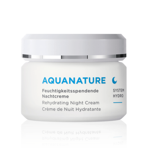 Annemarie Borlind Aquanature Regenerating Night Cream e1621348576819